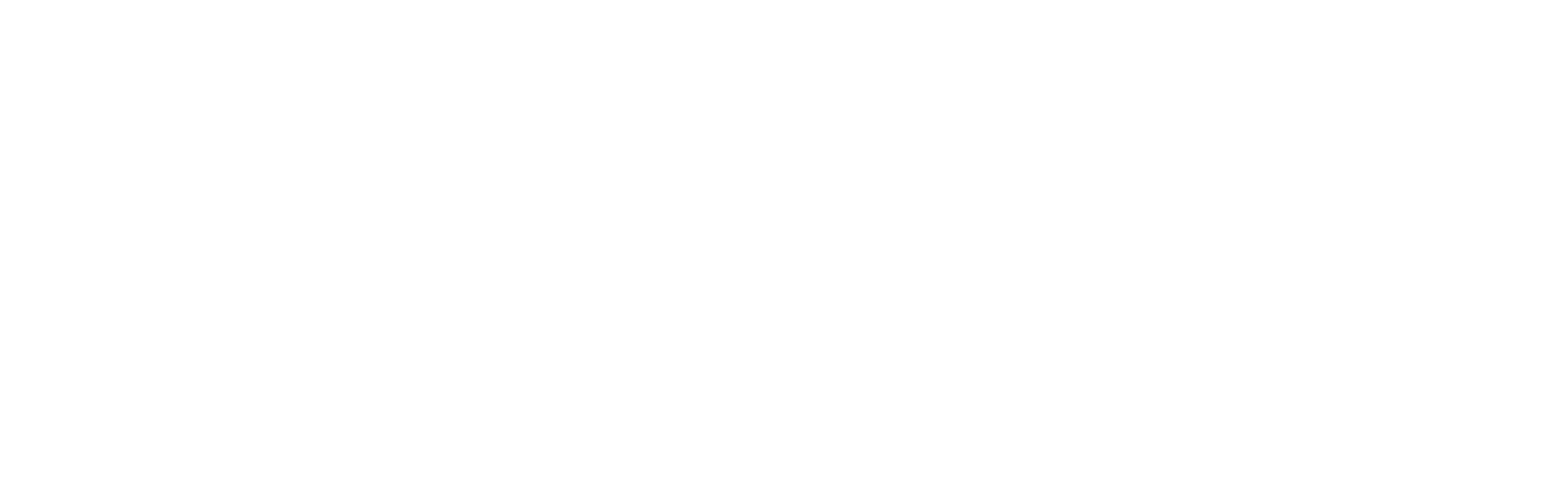 SaVida